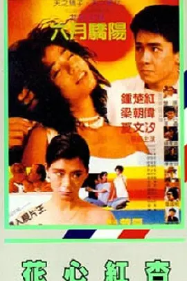 本站只有精品