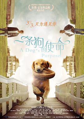 成人精品一区二区久久
