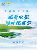 91视频下载免费