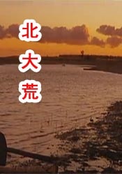 97干色