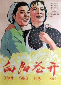 木加监读什么