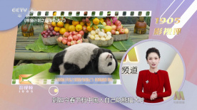 免费黄色日韩电影